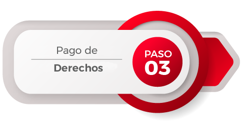 Paso3