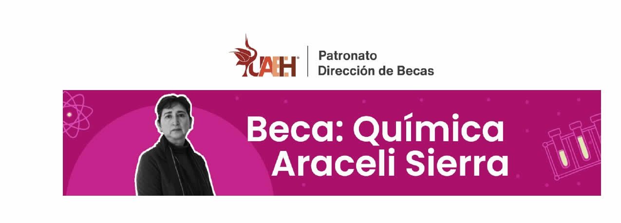 Resultados de la Beca Química Araceli Sierra periodo enero - junio 2025