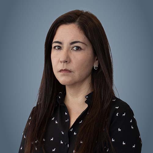 Dra. Rosa Luz Camacho Mendoza