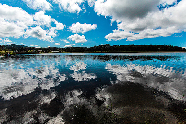 Semillas del Territorio: Raíces para resistir y reinventar el futuro 3