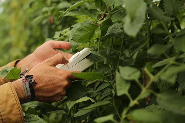 El corazón aún late en México: segunda parte 3