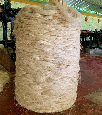 Henequén: fibra, historia y futuro sustentable para México 3-4