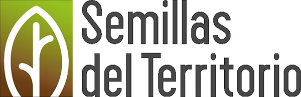 Henequén: fibra, historia y futuro sustentable para México 5