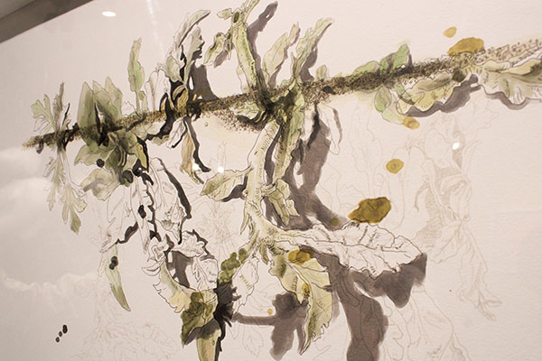 Ecoestética: cuando el arte florece del concreto G14