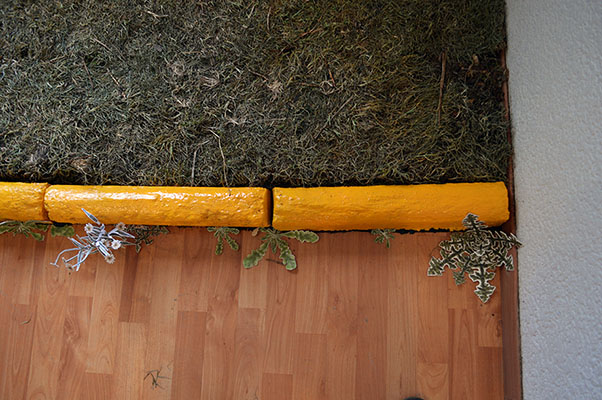 Ecoestética: cuando el arte florece del concreto G16