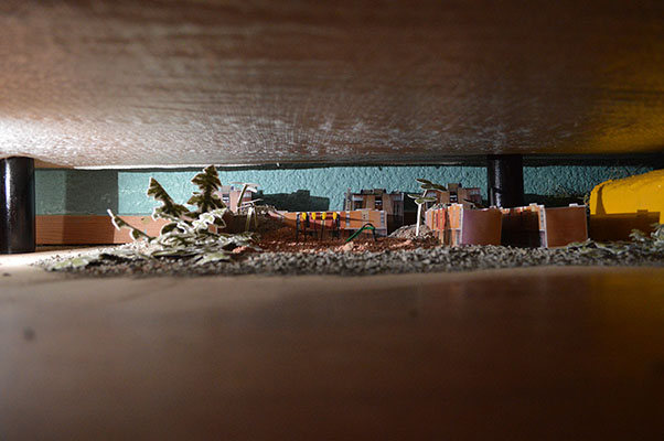 Ecoestética: cuando el arte florece del concreto G18