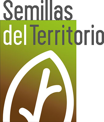 Cuando la educación se queda en casa: desarrollo social e innovación desde el Valle del Mezquital, Hidalgo. 4
