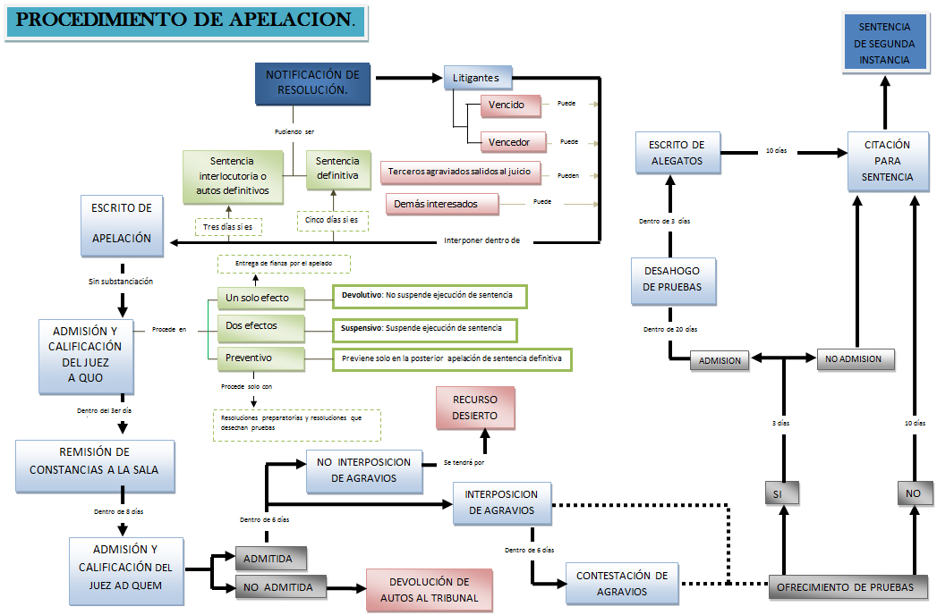 Procedimiento De La Apelación 